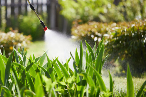 Tamper-Resistant Bait Stations for Rodents in Lake Darby