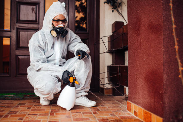 Attic and Crawl Space Rodent Treatment in Lake Darby